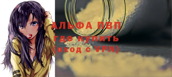 Альфа ПВП Гусиноозёрск