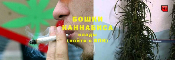 ГАЛЛЮЦИНОГЕННЫЕ ГРИБЫ Гусь-Хрустальный