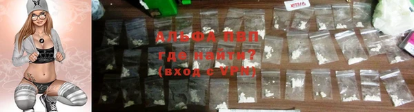 ГАЛЛЮЦИНОГЕННЫЕ ГРИБЫ Гусь-Хрустальный