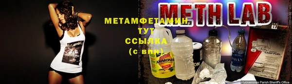 ГАЛЛЮЦИНОГЕННЫЕ ГРИБЫ Гусь-Хрустальный