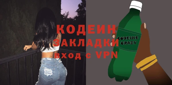 ГАЛЛЮЦИНОГЕННЫЕ ГРИБЫ Гусь-Хрустальный