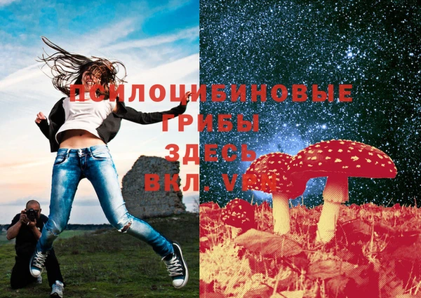 Альфа ПВП Гусиноозёрск