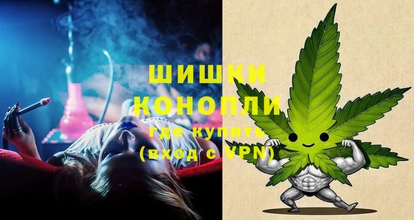 ГАЛЛЮЦИНОГЕННЫЕ ГРИБЫ Гусь-Хрустальный