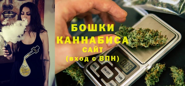 ГАЛЛЮЦИНОГЕННЫЕ ГРИБЫ Гусь-Хрустальный