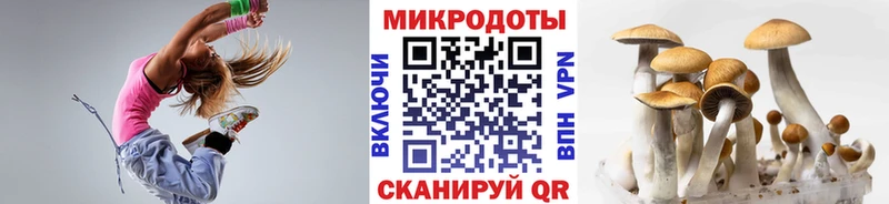 Галлюциногенные грибы Psilocybine cubensis  где купить наркотик  Юхнов 